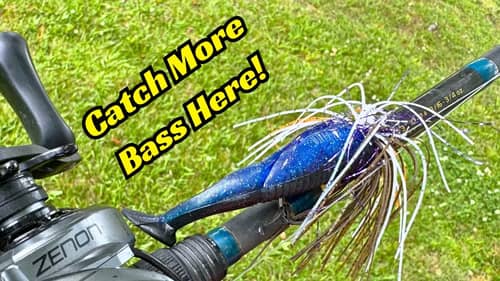 Catch More Bass With These Tips When Fishing Wood Cover!