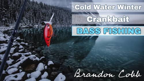 Winter Bass Fishing Tips : How to Fish Crankbaits