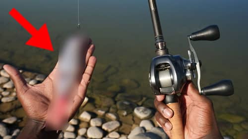 This Is The ONLY Swimbait You Need To Catch Fish With All Year Round!