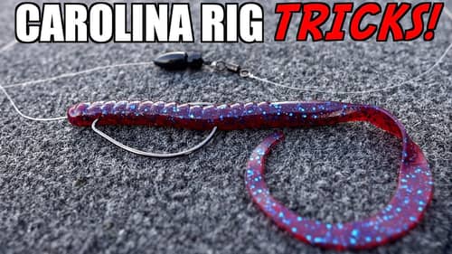 You'll NEVER Rig a Carolina Rig The SAME After This!