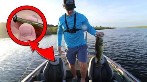 Most UNDER-RATED Fishing Lure... (It ACTUALLY Worked)!