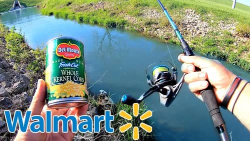 $5 Walmart Spillway Fishing CHALLENGE!! (SURPRISE Catch)