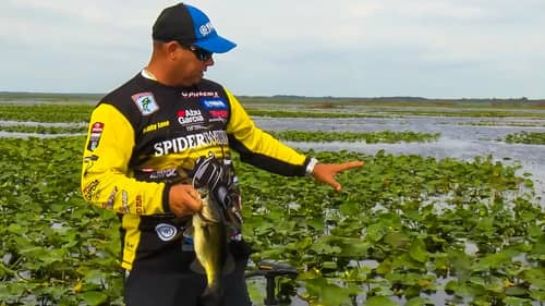 "BIG FISH" Bobby Lane's Bass Fishing with Toads Tips