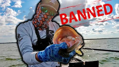 BANNED? ~ Does LIVE Sonar CHANGE Bass FISHING for Good?!?!