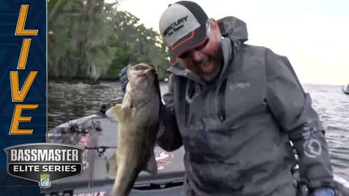 Special Shad Spawn bite on the St. Johns River