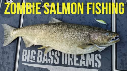 Pacific King Salmon Fishing in Wisconsin?  Part 1