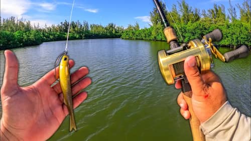 A Big Fish Saves The Day During Tough Summertime Fishing!