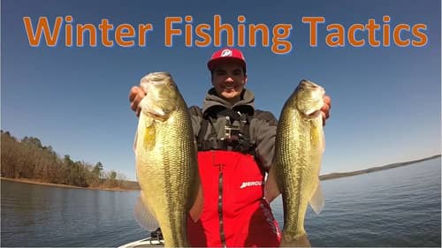 Where to Find Winter Bass: Muddy Water