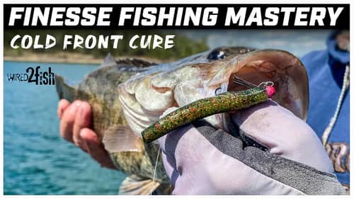 Mastering Finesse Fishing with Ned Rigs After Cold Fronts