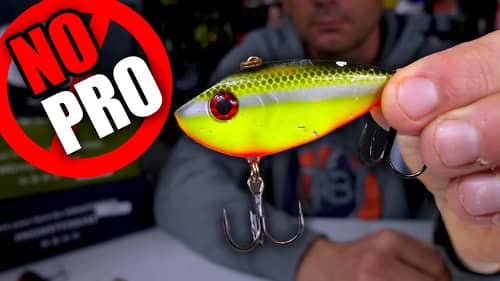 The Pros WON'T tell you About Stalling a Lipless PLUG for Bass