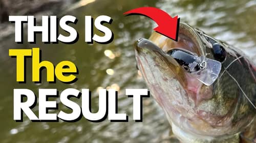 You Have to Do THIS in the Fall | Fall Bass Fishing Tips