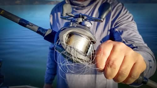 Fall Tackle Review: Rods, Reels, Lures