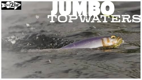 How to Bass Fish With Big Topwater Baits