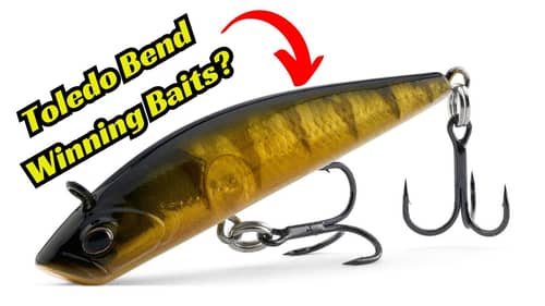 Will These Be The Winning Baits On Toledo Bend?