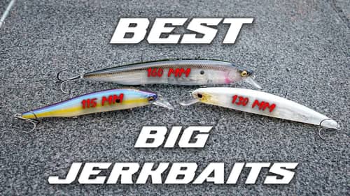 Our Favorite BIG Jerkbaits For Power Fishing Around Cover!! Most Anglers Are Too Afraid To Try!