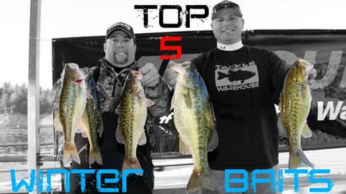 Top 5 Baits for Winter Bass Fishing