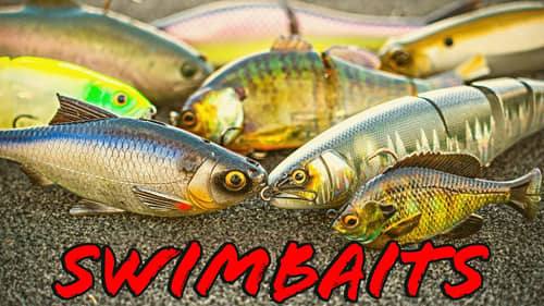 Buyer's Guide: Swimbaits and Glide Baits!
