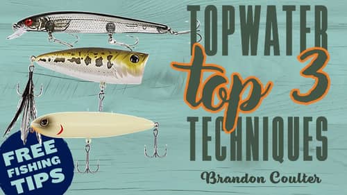 Topwater Bass Fishing is THE BEST! (Major League Fishing Pro's Top 3 Techniques + Tips)