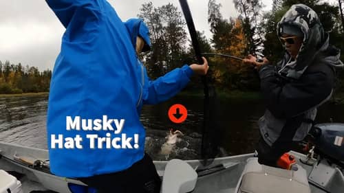 Big Musky Dreams Hat Trick on the River!  Part 1