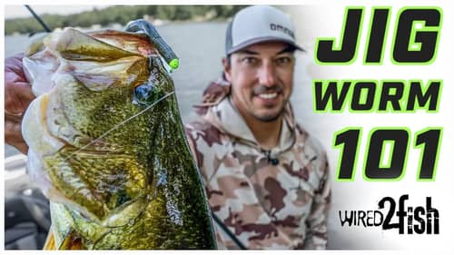 How to Fish a Jig Worm for Bass