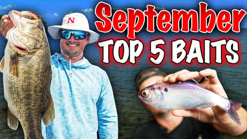 September Fishing *SUCKS* -- OutFish EVERYONE with My TOP 5 Baits!!!