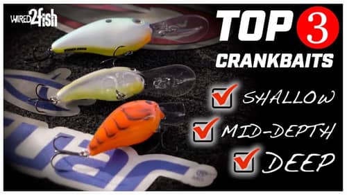3 Crankbaits to Cover All Bass Fishing Situations