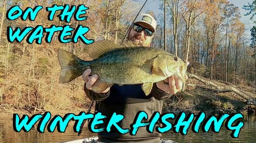 Winter Bass Fishing: Simple Tricks To Catch More Fish!
