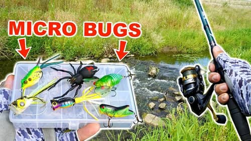 MICRO BUG Lure Creek Fishing CHALLENGE!!! (They Worked!)