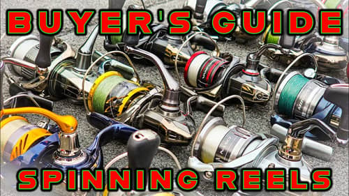 BUYER'S GUIDE: BEST SPINNING REELS (Budget To Enthusiast)