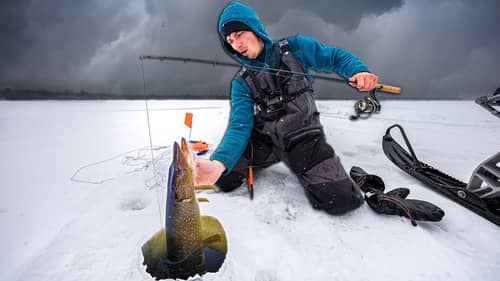 Catching VICIOUS Toothy Fish Through The ICE! (Storm Front Fishing)