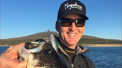 Should You Change Lures Or Areas If The Bass Aren’t Biting?