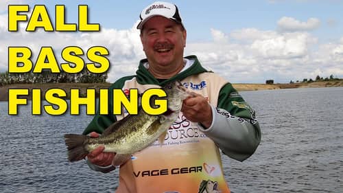 Fall Bass Fishing Tips and Techniques | Bass Fishing
