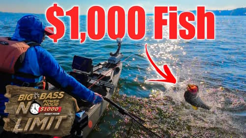 How I Won $2300 with Only Two Fish!!!