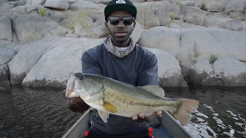 Fall Fishing For Big Bass With Swim Jigs And Topwater