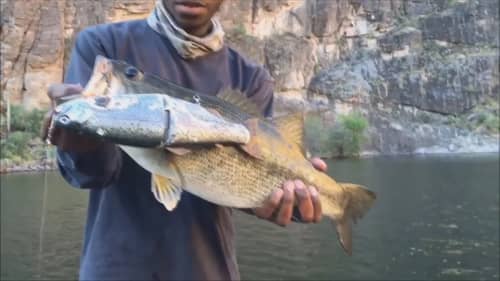 Big Bass On Giant Trout Swimbait! Cast To Catch!