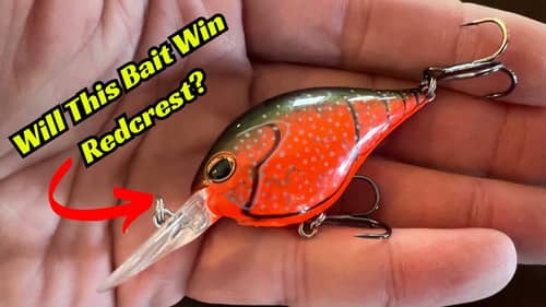 Will One Of These Be The Winning Baits At The MLF Redcrest Championship On Lay Lake?