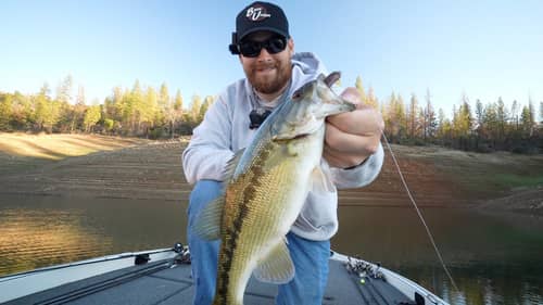 Spotted Bass Secrets Revealed: Early Winter Vertical Jigging with Bass Union at Lake Oroville!