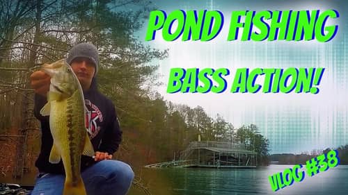 Winter Pond Bass Fishing - Big Bass Action! Vlog #38
