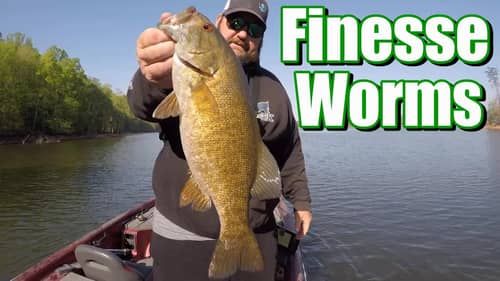 Spring Bass on a Finesse Worms