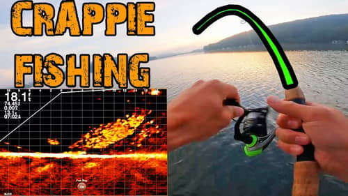 Crappie Fishing Brush Piles for LOADS Of CRAPPIE! (LIVESCOPE)