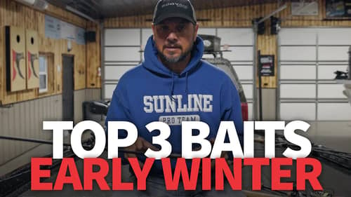 TOP 3 Baits for the EARLY WINTER! 🥶❄️
