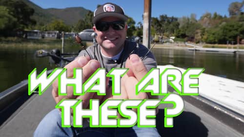 Bass Fishing: What are all these different hooks for?