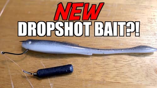 This NEW Dropshot Bait Catches BIG Smallmouth Bass!