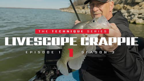 Winter Livescope Crappie Fishing (EVERYTHING you need to know for SUCCESS!)