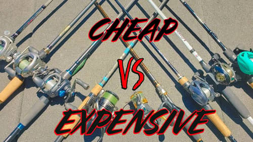 Cheap Vs. Expensive Fishing Rods - Which Should You Buy?
