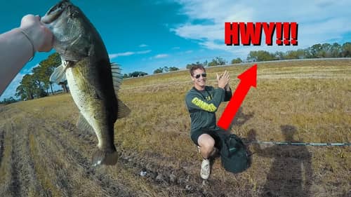 Catching Huge Bass On The Highway! (New PB)