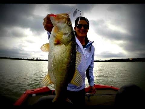 Spinnerbait Bass Fishing - Lure Modifications and Humminbird Tips