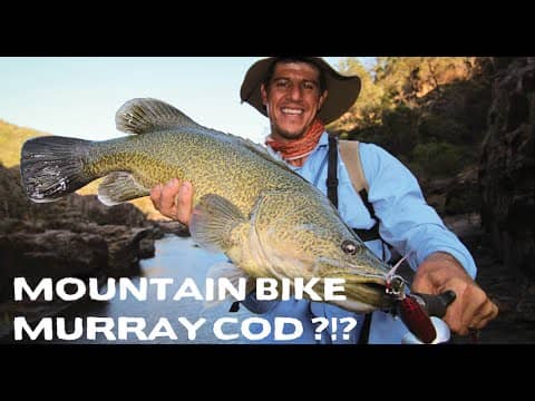 MURRAY COD FISHING Cast Mag Presents "The Chaunt" Ep 6 Mountain Bike Murray Cod