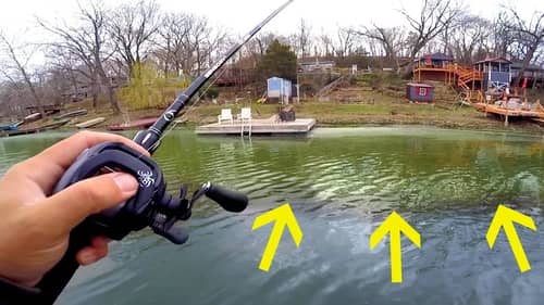 The BEST WAY to Catch BIG Spring Bass in the Grass