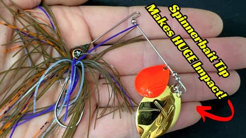 Get More Bites With This Tip When Using Spinnerbaits And Chatterbaits!